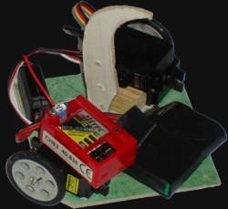 Bobblebot Bobblebot